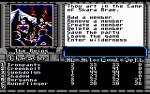Thief of Fate - Commodore 64 - The Ruin